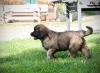 images/T-Wurf/T-Wurf Wo 9/1S_3S8A3038-Bearbeitet.jpg
